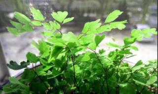 深圳回南天除湿最好的方法 广东回南天怎么除湿